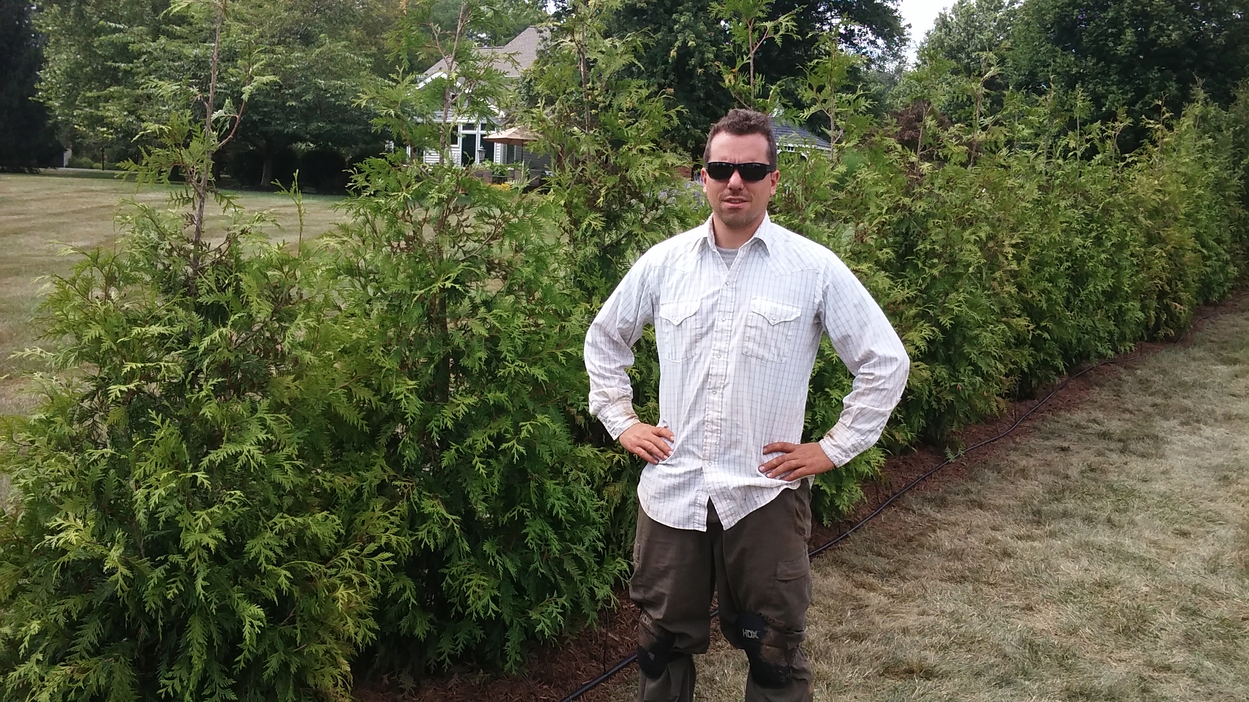 Ed Chiurco planting trees